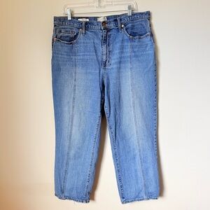 Universal Thread High Rise Vintage Straight Jeans 16/33R